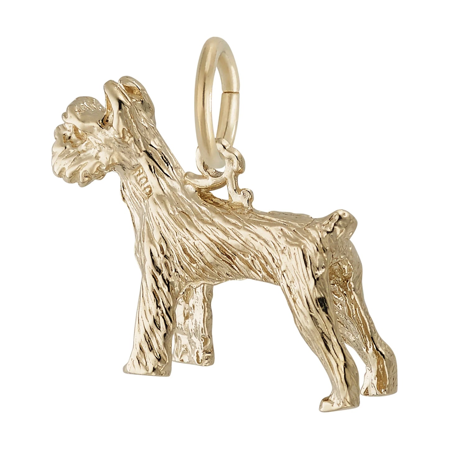 Schnauzer Charm