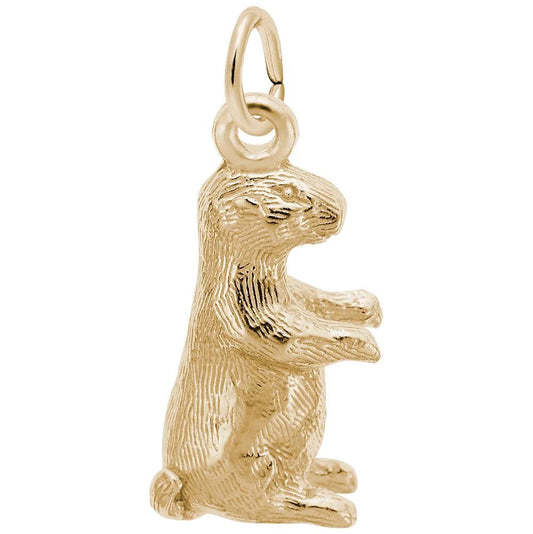 Groundhog Charm