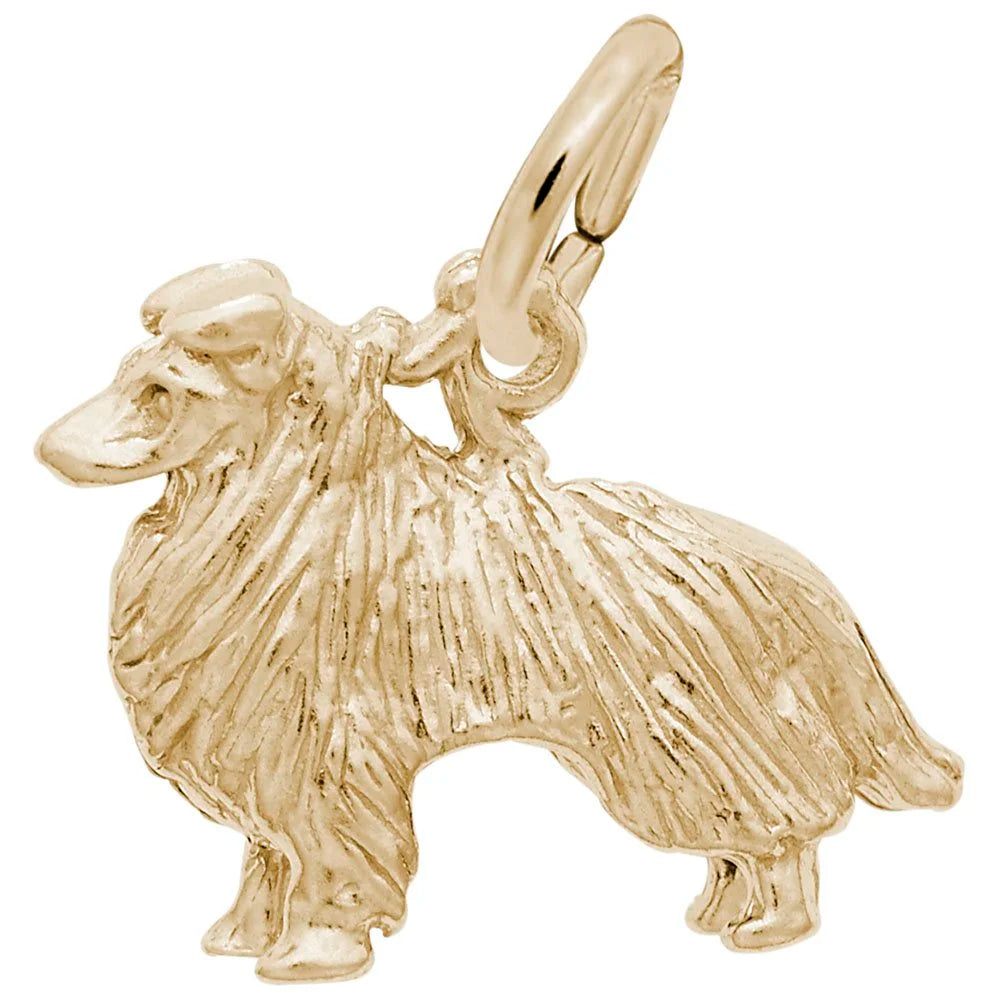 Collie Charm