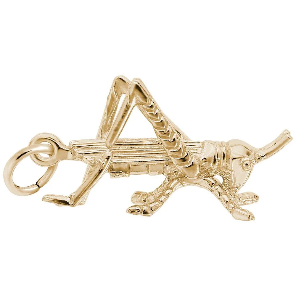 Cricket Charm