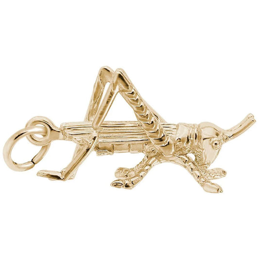 Cricket Charm