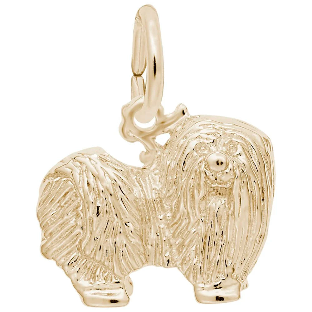 Maltese Charm