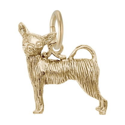 Chihuahua Charm