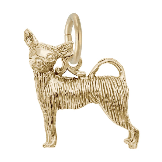 Chihuahua Charm