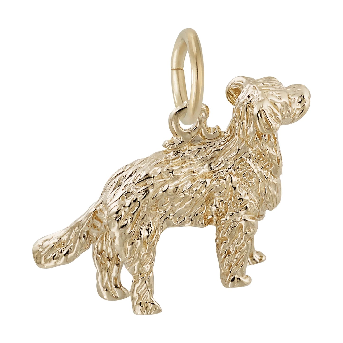 Golden Retriever Charm