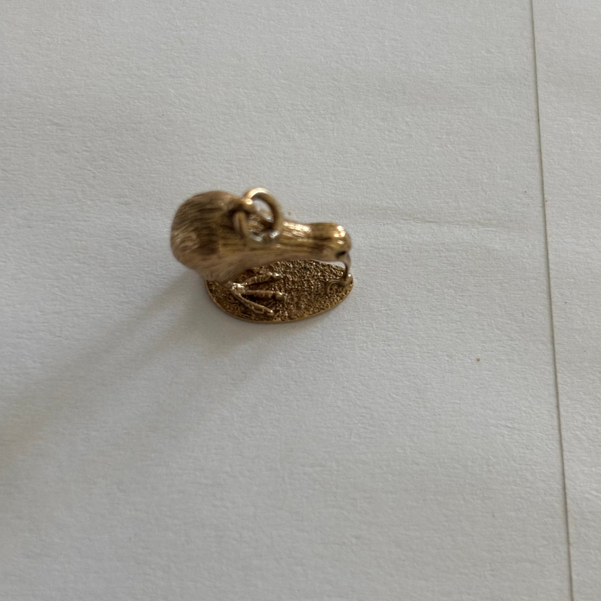 Kiwi Charm