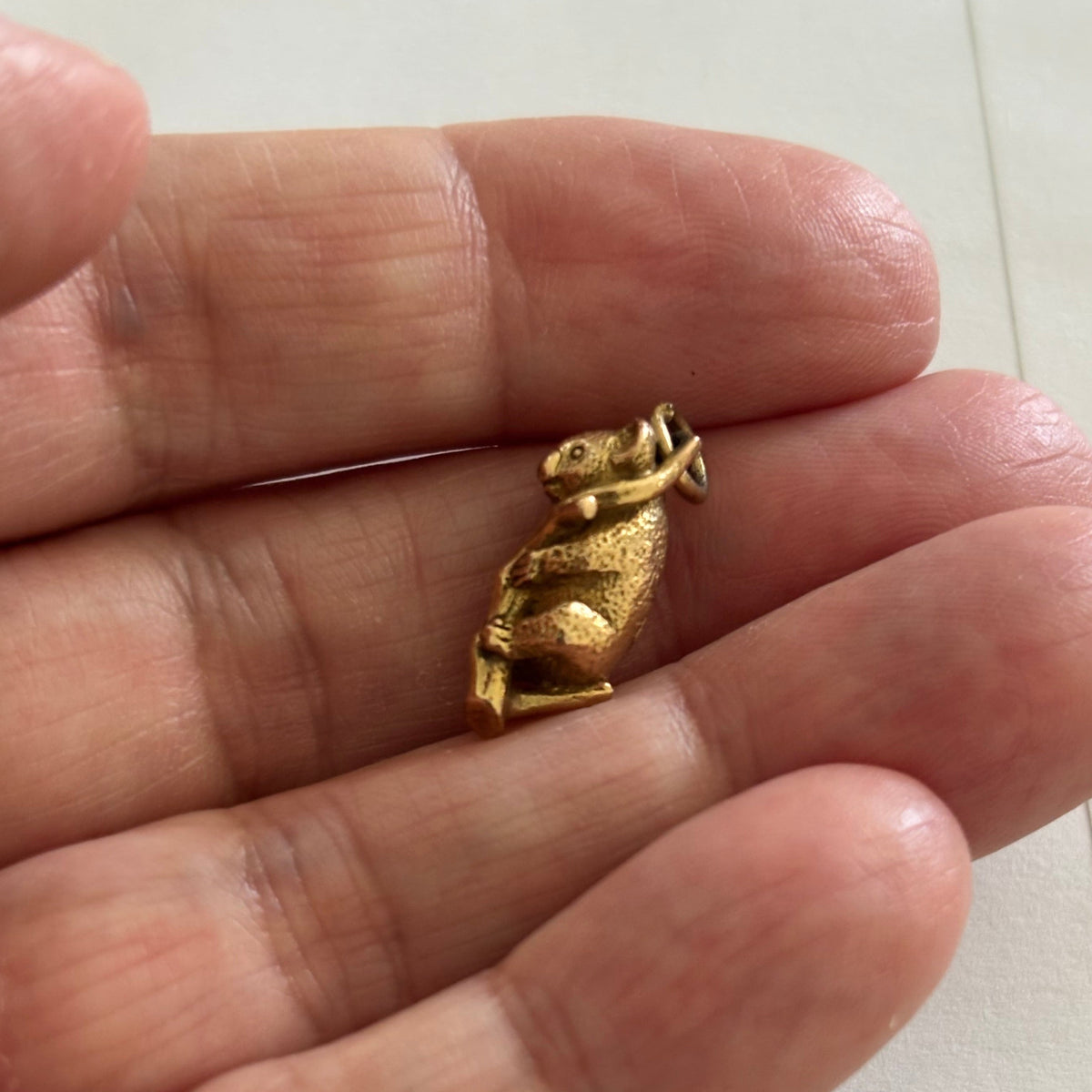 Koala Charm