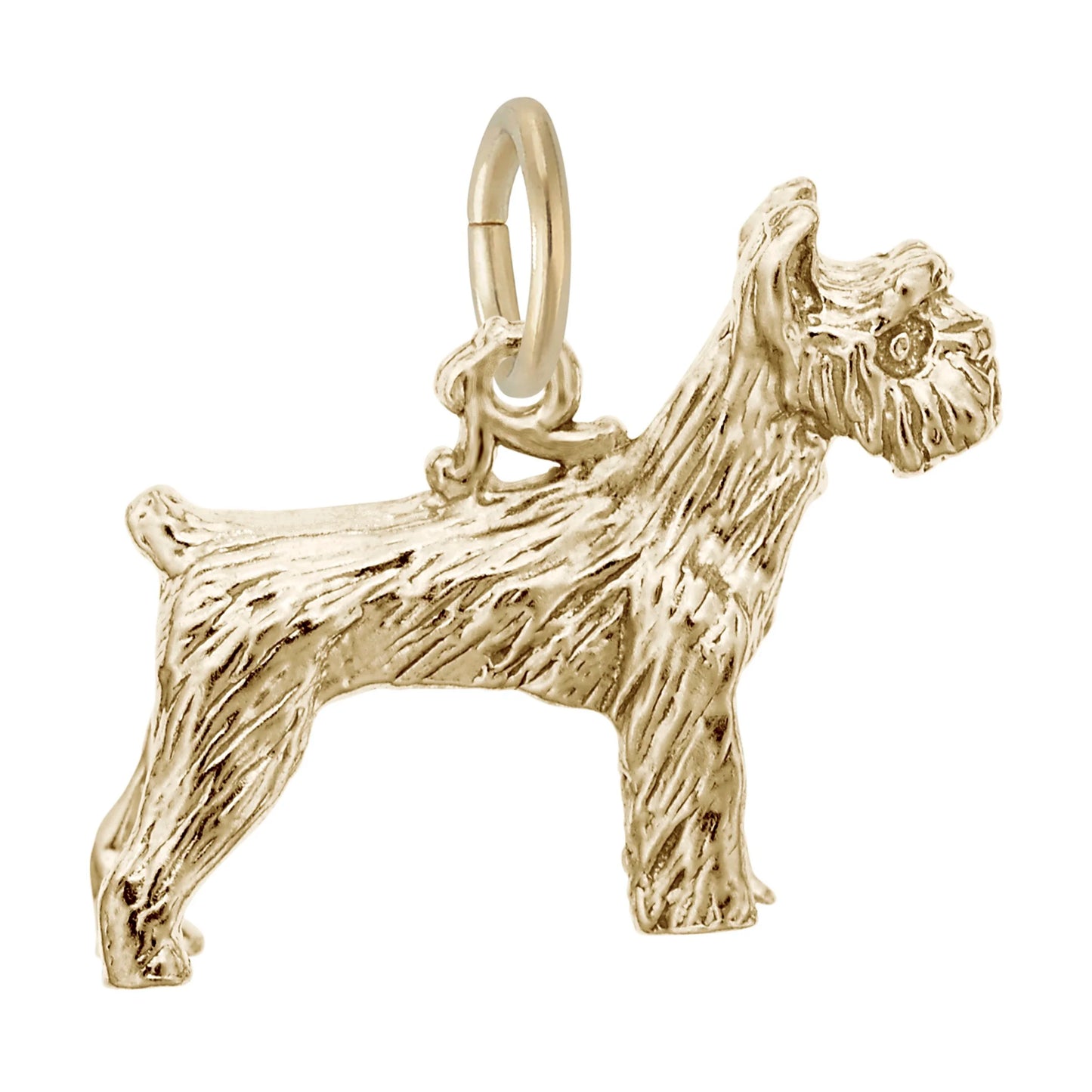 Schnauzer Charm