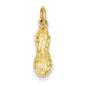 Peanut Charm