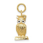 Graduation Owl Charm