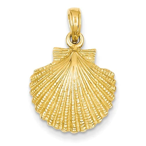 Scallop Shell